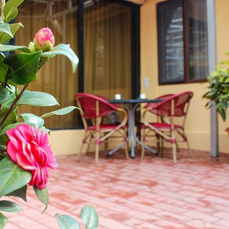 Lasha Apartment Tiflis Exterior foto